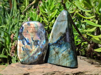 Polished Labradorite Standing Free Forms x 2 From Tulear, Madagascar