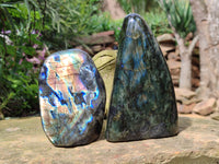 Polished Labradorite Standing Free Forms x 2 From Tulear, Madagascar