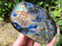 Polished Labradorite Standing Free Forms x 2 From Tulear, Madagascar