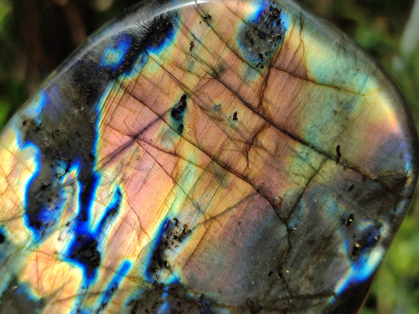 Polished Labradorite Standing Free Forms x 2 From Tulear, Madagascar