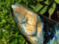 Polished Labradorite Standing Free Forms x 2 From Tulear, Madagascar