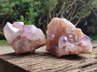 Natural Jacaranda Amethyst Quartz Clusters x 2 From Mumbwa, Zambia