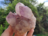 Natural Jacaranda Amethyst Quartz Clusters x 2 From Mumbwa, Zambia