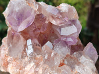 Natural Jacaranda Amethyst Quartz Clusters x 2 From Mumbwa, Zambia