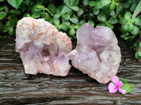 Natural Jacaranda Amethyst Quartz Clusters x 2 From Mumbwa, Zambia