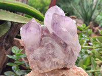 Natural Jacaranda Amethyst Quartz Clusters x 2 From Mumbwa, Zambia