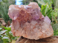 Natural Jacaranda Amethyst Quartz Clusters x 2 From Mumbwa, Zambia