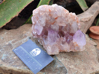 Natural Jacaranda Amethyst Quartz Clusters x 2 From Mumbwa, Zambia