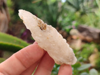 Natural Drusy Quartz Coated Calcite Pseudomorph Specimens x 35 From Lesotho