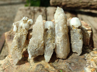 Natural Drusy Quartz Coated Calcite Pseudomorph Specimens x 35 From Lesotho