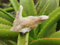 Natural Drusy Quartz Coated Calcite Pseudomorph Specimens x 35 From Lesotho