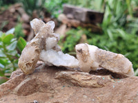 Natural Drusy Quartz Coated Calcite Pseudomorph Specimens x 35 From Lesotho