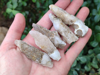 Natural Drusy Quartz Coated Calcite Pseudomorph Specimens x 35 From Lesotho