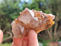 Natural Smokey Amethyst Spirit Quartz Clusters x 12 From Boekenhouthoek, South Africa