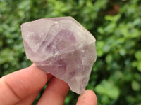 Natural Jacaranda Amethyst Quartz Crystals x 24 From Mumbwa, Zambia