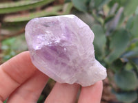 Natural Jacaranda Amethyst Quartz Crystals x 24 From Mumbwa, Zambia