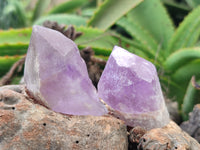 Natural Jacaranda Amethyst Quartz Crystals x 24 From Mumbwa, Zambia