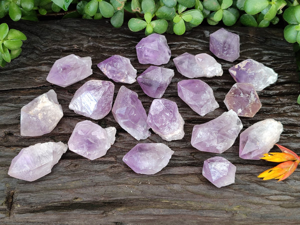 Natural Jacaranda Amethyst Quartz Crystals x 24 From Mumbwa, Zambia