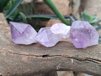 Natural Jacaranda Amethyst Quartz Crystals x 24 From Mumbwa, Zambia