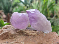 Natural Jacaranda Amethyst Quartz Crystals x 24 From Mumbwa, Zambia