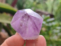 Natural Jacaranda Amethyst Quartz Crystals x 24 From Mumbwa, Zambia