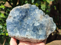 Natural Celestite Geode Specimens x 1 From Sakoany, Madagascar