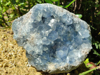 Natural Celestite Geode Specimens x 1 From Sakoany, Madagascar