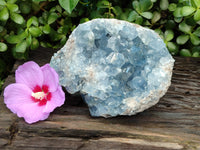 Natural Celestite Geode Specimens x 1 From Sakoany, Madagascar