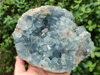 Natural Celestite Geode Specimens x 1 From Sakoany, Madagascar