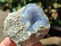 Natural Blue Lace Agate Geode Specimens x 12 From Nsanje, Malawi