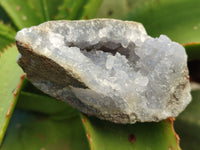 Natural Blue Lace Agate Geode Specimens x 12 From Nsanje, Malawi