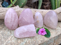 Polished Rose Quartz Standing Free Forms x 5 From Ambatondrazaka, Madagascar