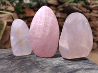 Polished Rose Quartz Standing Free Forms x 5 From Ambatondrazaka, Madagascar