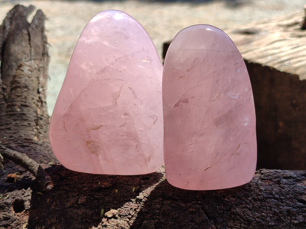 Polished Rose Quartz Standing Free Forms x 5 From Ambatondrazaka, Madagascar