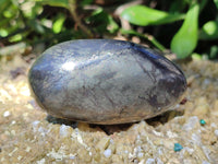 Polished Rare Pharaoh Stone Pyrite in Basalt Galet-Palm Stones x 12 Iron Duke Mine, Zimbabwe