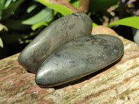 Polished Rare Pharaoh Stone Pyrite in Basalt Galet-Palm Stones x 12 Iron Duke Mine, Zimbabwe