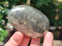 Polished Rare Pharaoh Stone Pyrite in Basalt Galet-Palm Stones x 12 Iron Duke Mine, Zimbabwe