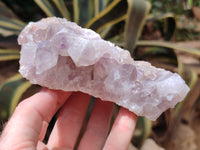 Natural Jacaranda Amethyst Quartz Clusters x 3 From Mumbwa, Zambia