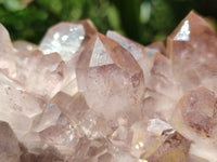 Natural Jacaranda Amethyst Quartz Clusters x 3 From Mumbwa, Zambia