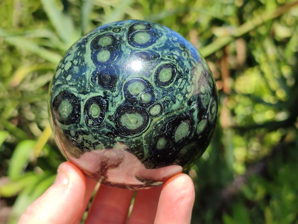 Polished Stromatolite Jasper Spheres x 3 From Katsepy, Madagascar