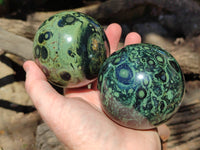 Polished Stromatolite Jasper Spheres x 3 From Katsepy, Madagascar