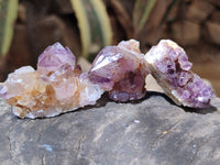 Natural Dark Purple Amethyst Spirit Quartz Clusters x 70 From Boekenhouthoek, South Africa