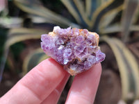 Natural Dark Purple Amethyst Spirit Quartz Clusters x 70 From Boekenhouthoek, South Africa