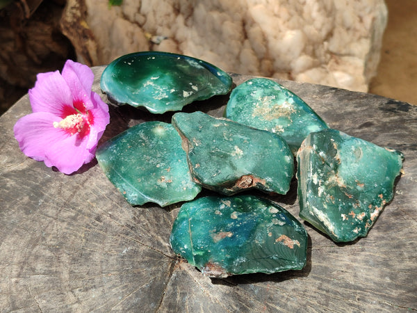 Polished On One Side Emerald Mtorolite Plates x 6 From Mutorashanga, Zimbabwe