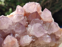 Natural Amethyst Spirit Quartz Clusters x 2 From Boekenhouthoek, South Africa