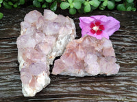 Natural Amethyst Spirit Quartz Clusters x 2 From Boekenhouthoek, South Africa