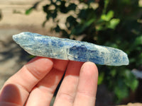 Natural Kyanite Crystals x 1.95 Kg Lot From Karoi, Zimbabwe