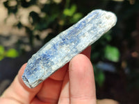 Natural Kyanite Crystals x 1.95 Kg Lot From Karoi, Zimbabwe