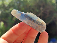 Natural Kyanite Crystals x 1.95 Kg Lot From Karoi, Zimbabwe