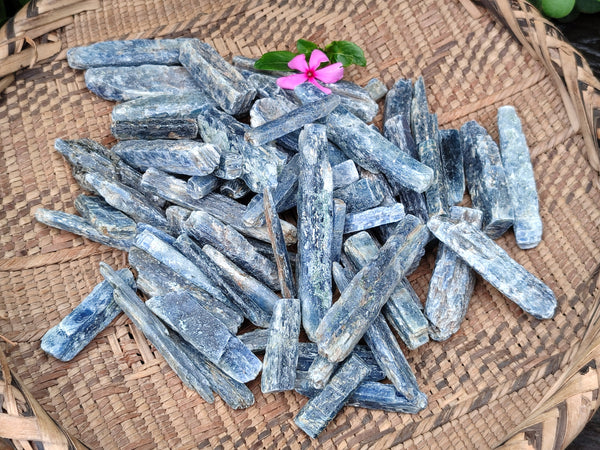 Natural Kyanite Crystals x 1.95 Kg Lot From Karoi, Zimbabwe